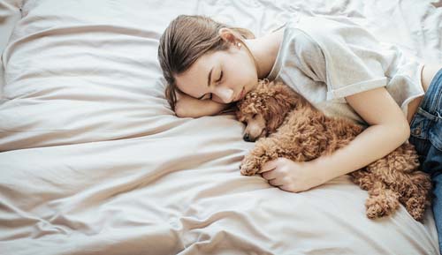 Owner holding dog while sleeping