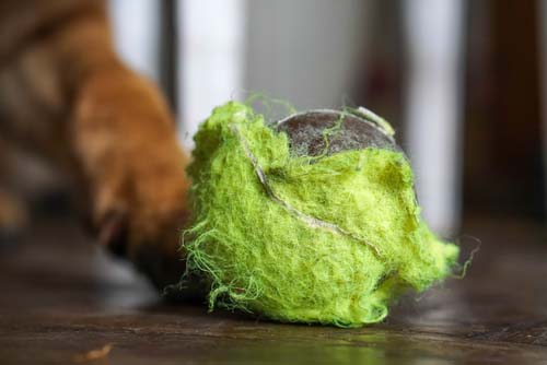 worn out tennis ball