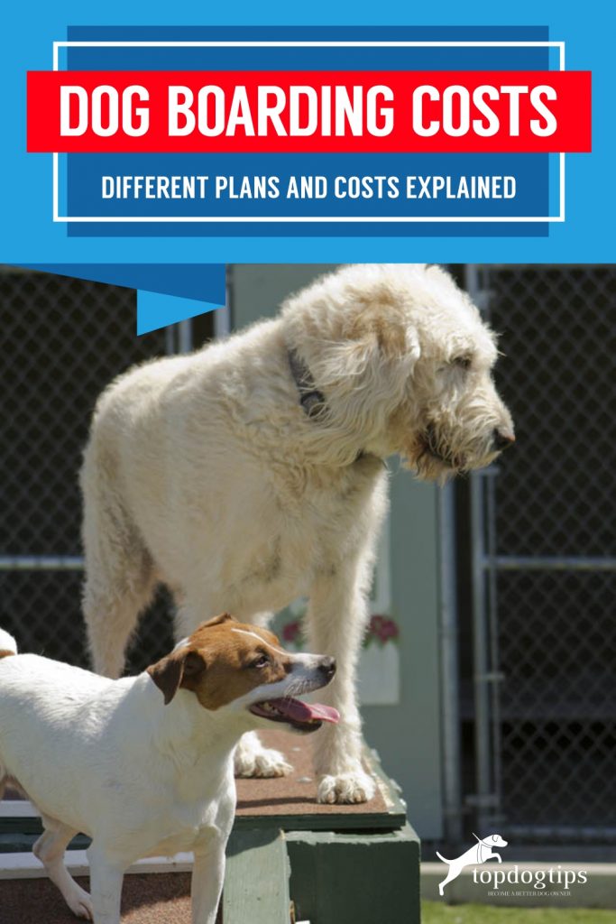 Dog Boarding Costs_Different Plans and Costs ExplainedDog Boarding Costs_Different Plans and Costs ExplainedDog Boarding Costs_Different Plans and Costs Explained