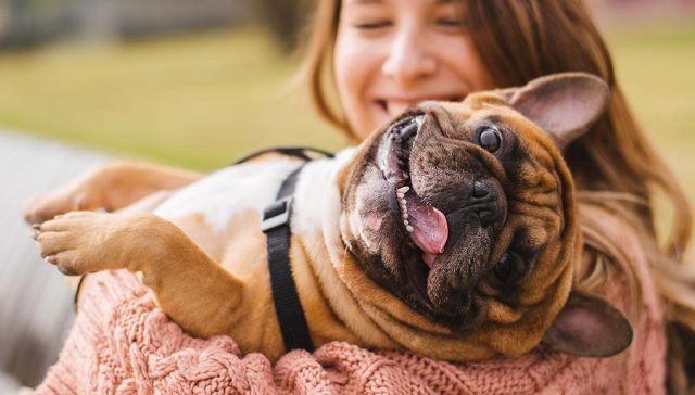 Ooh-la-la- 11 Most Popular French Dog Breeds in the United States