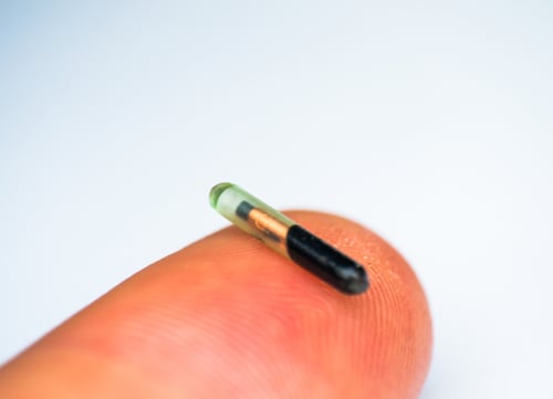 microchip on finger