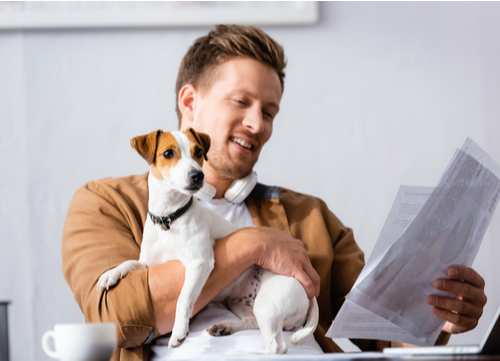 owner looking at microchip info