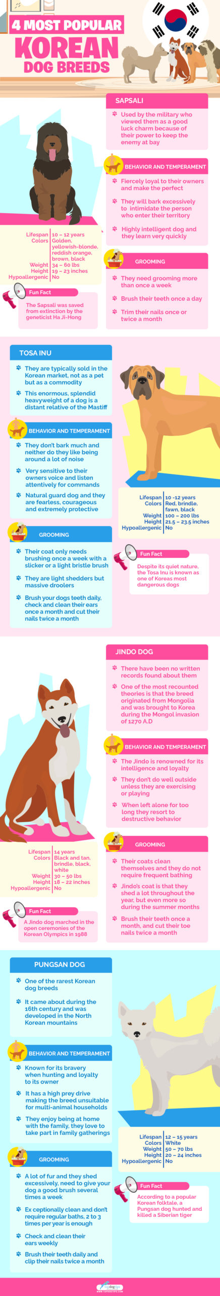 Korean Dog Breeds 