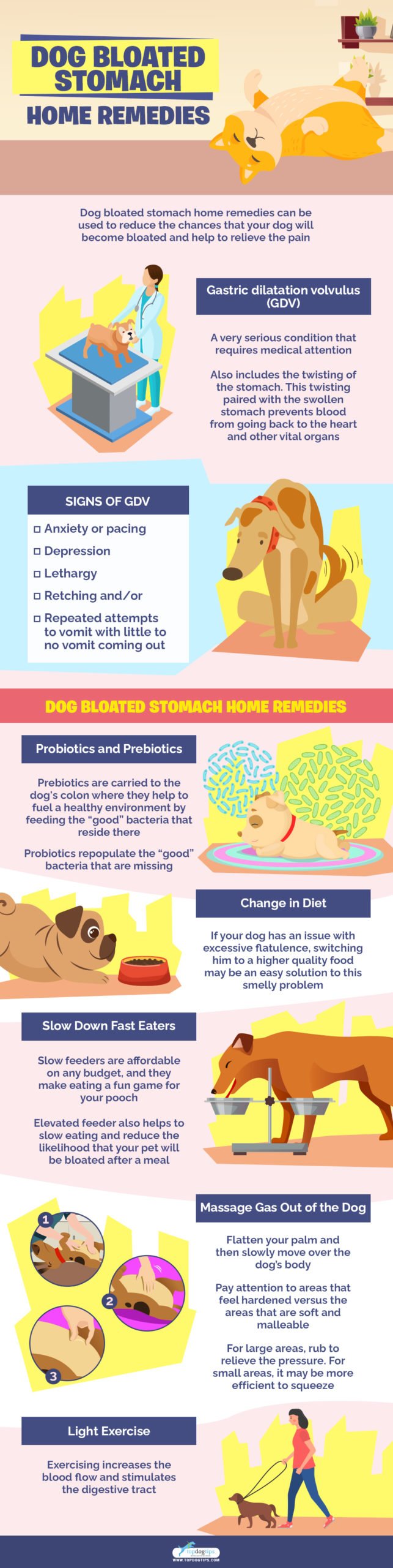 Dog Bloated Stomach Home Remedies