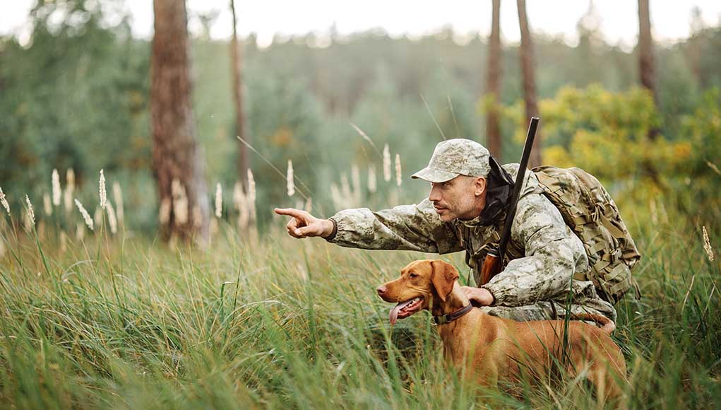 13 Best Hunting Dogs