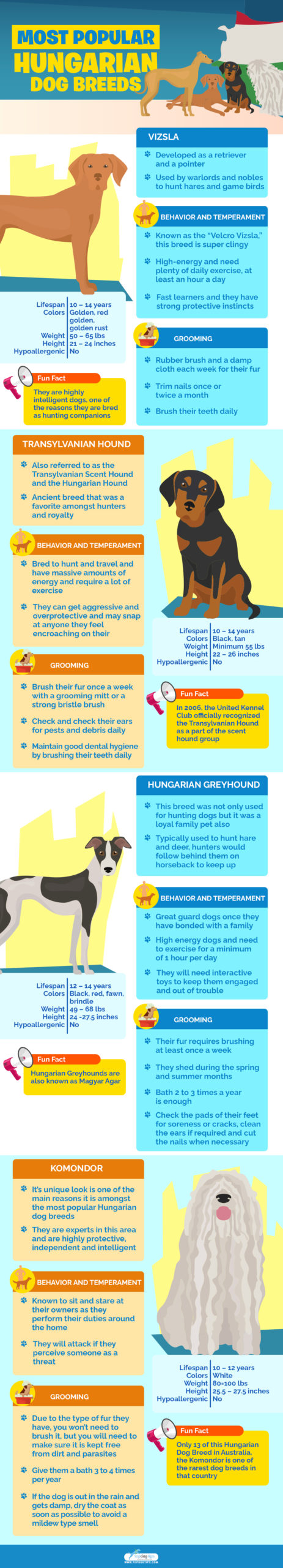 Hungarian Dog Breeds