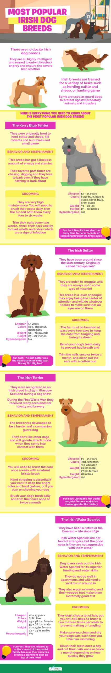 Irish Dog Breeds