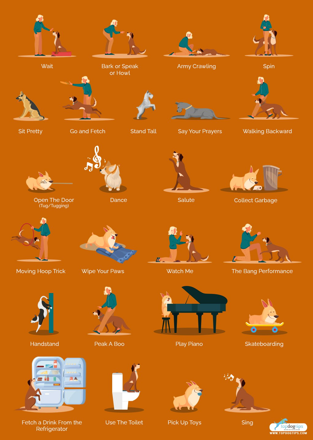 Difficult Tricks to Train Dogs 