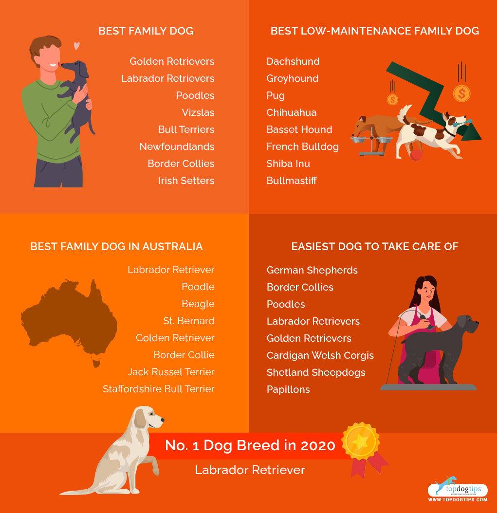 dog breeds for families