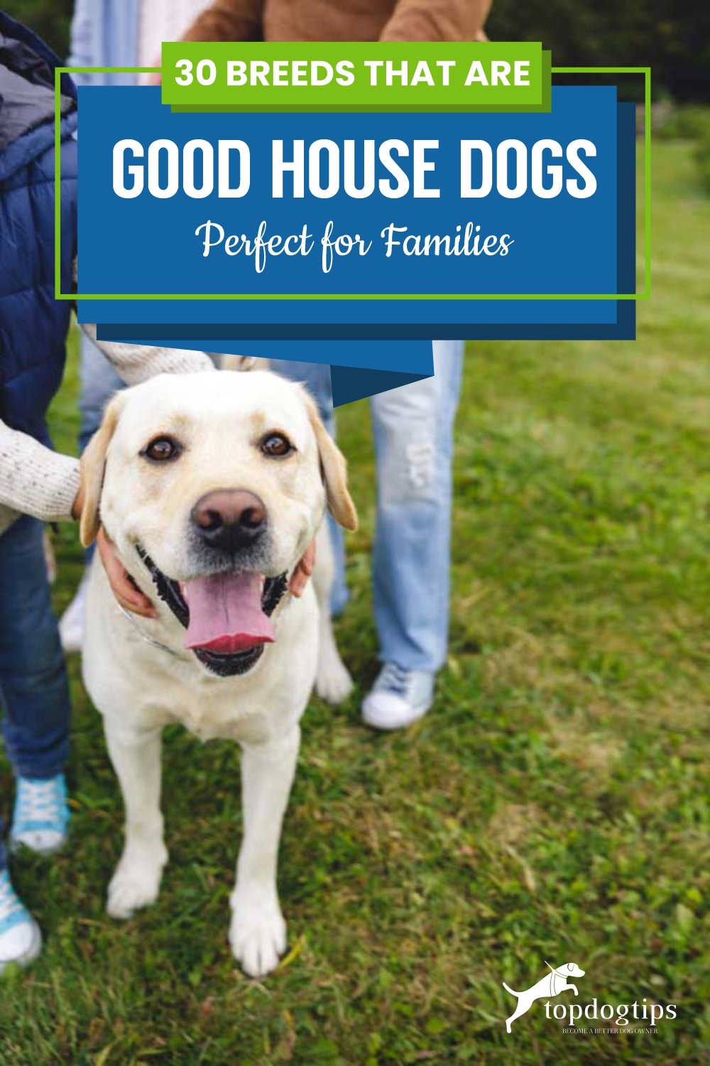 30 Breeds That Are Good House Dogs - Perfect for Families