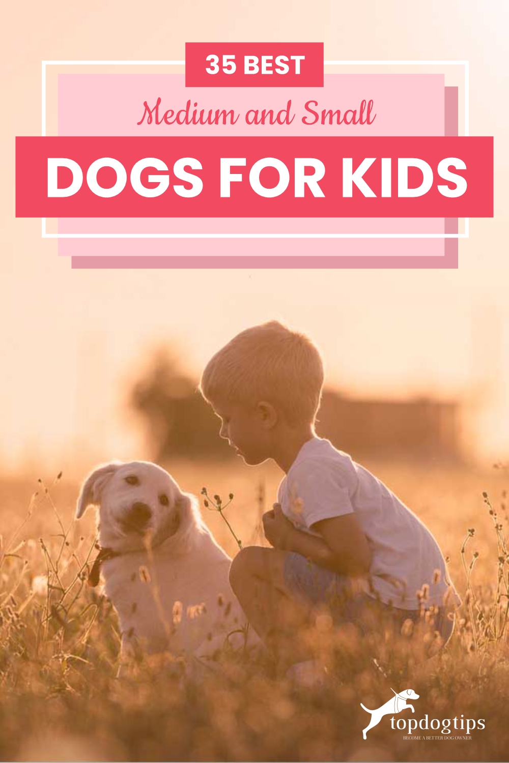 35 Best Medium and Small Dogs for Kids