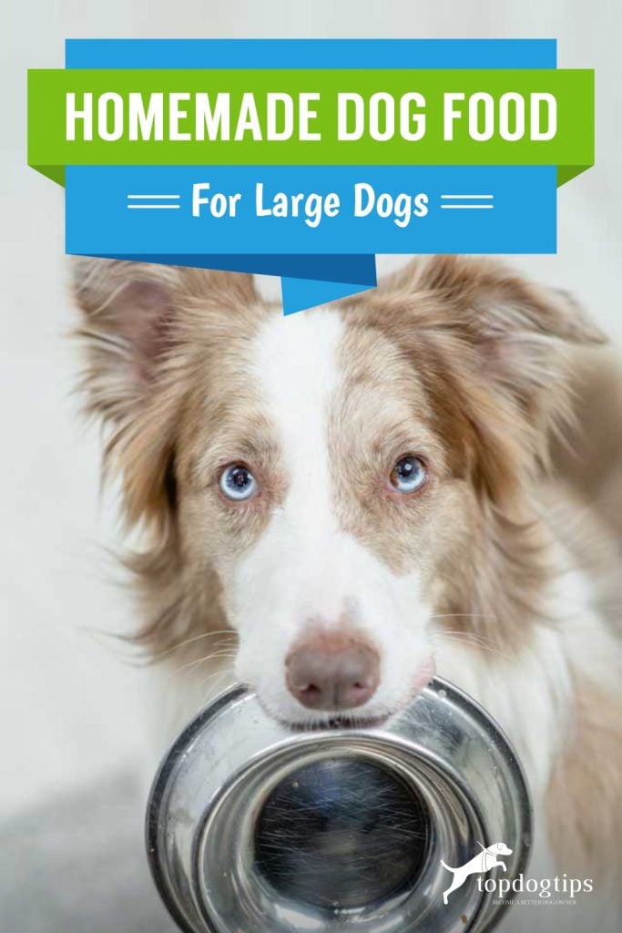 Homemade Dog Food for Large Dogs