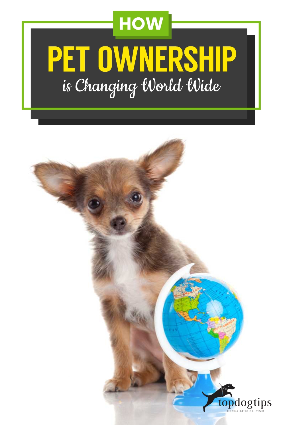 How Pet Ownership is Changing World Wide