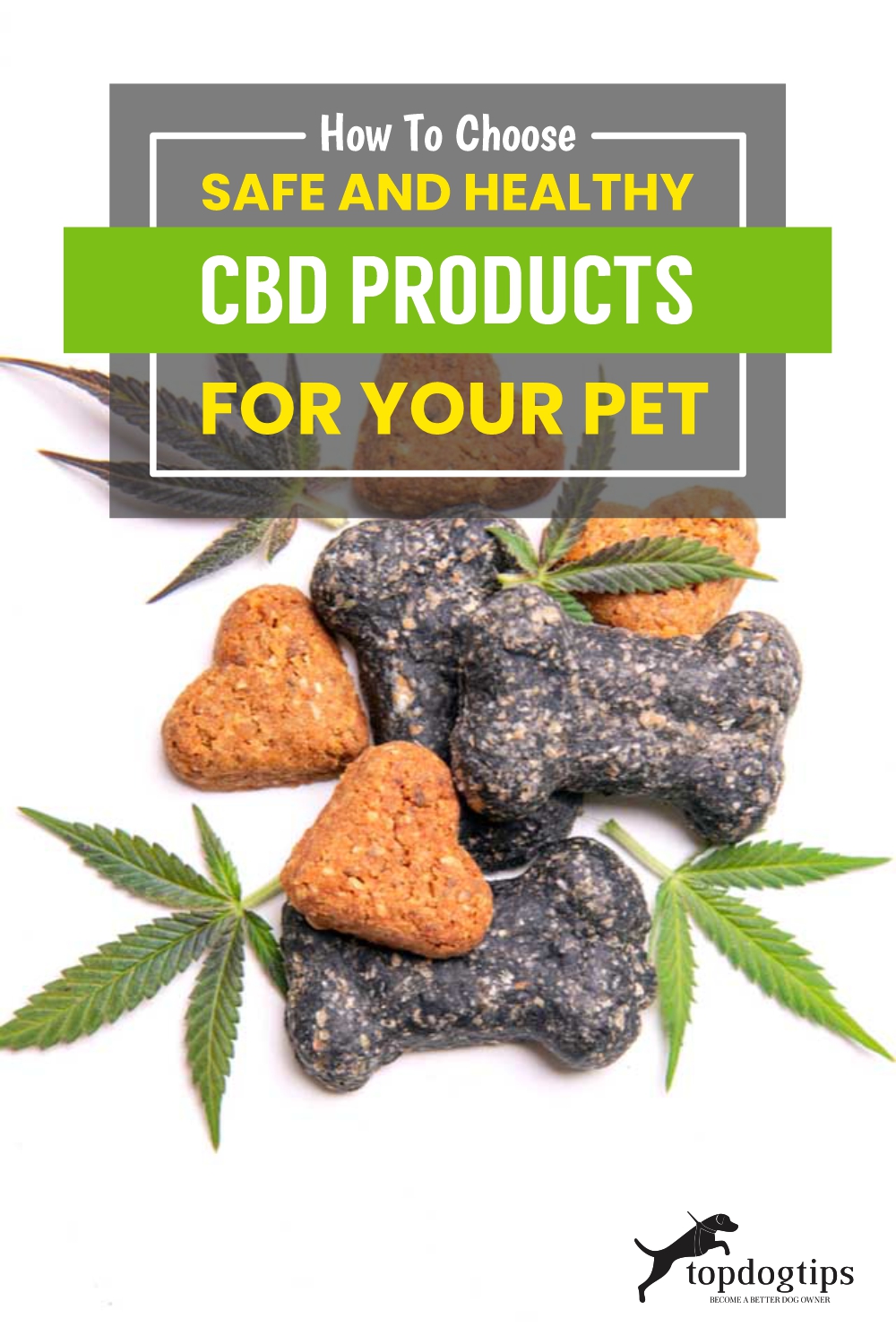 How To Choose Safe and Healthy CBD Products for Your Pet