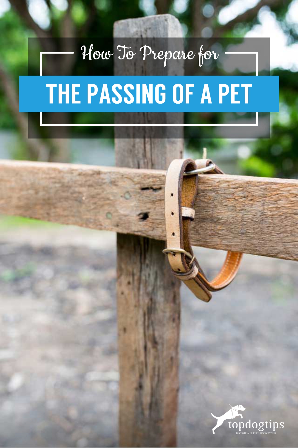 How To Prepare for the Passing of A Pet