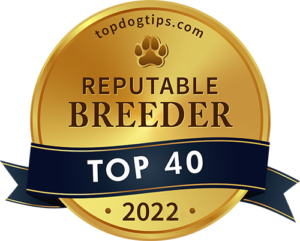 Reputable Dog Breeder 2022