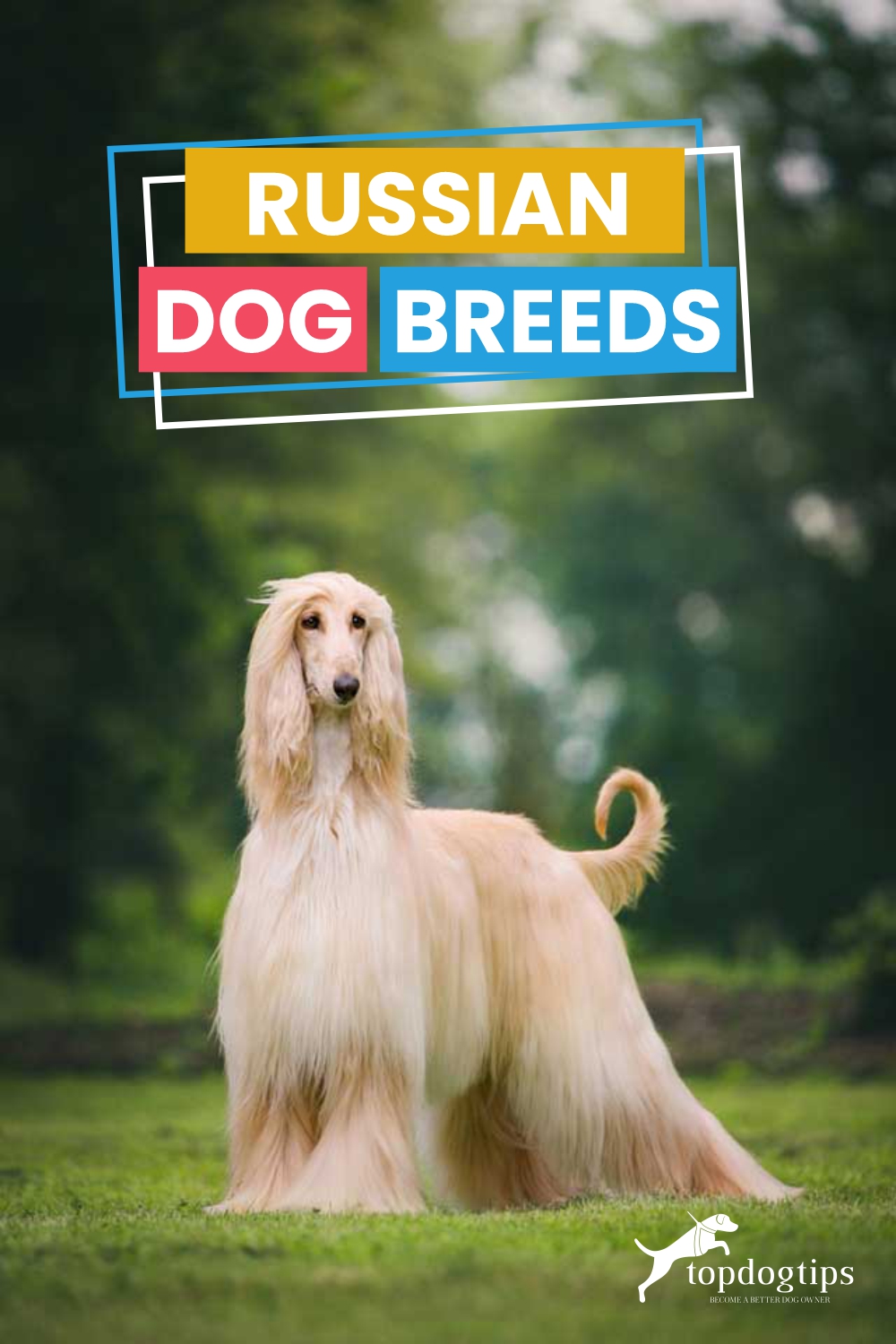 Russian Dog Breeds