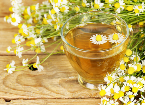 herbal remedies for dogs Chamomile