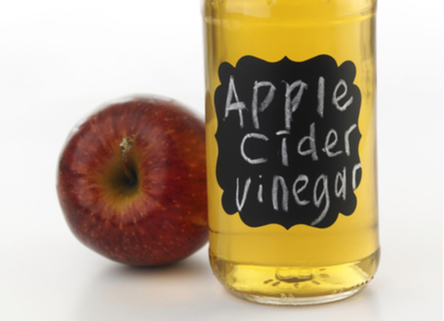 dog tick remedies apple cider vinegar