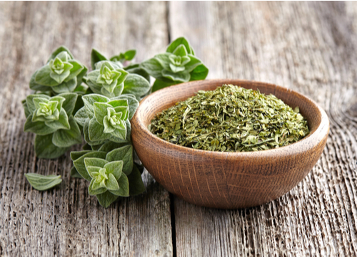 herbal remedies for dogs Oregano