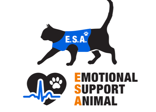 emotional support animals