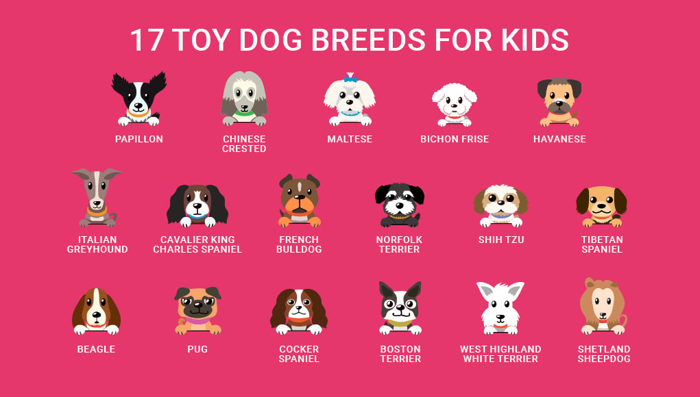 Small Dog Breeds for KIDS