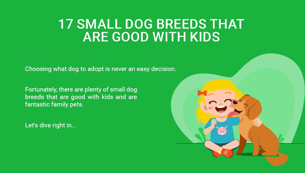 Small Dog Breeds for KIDS