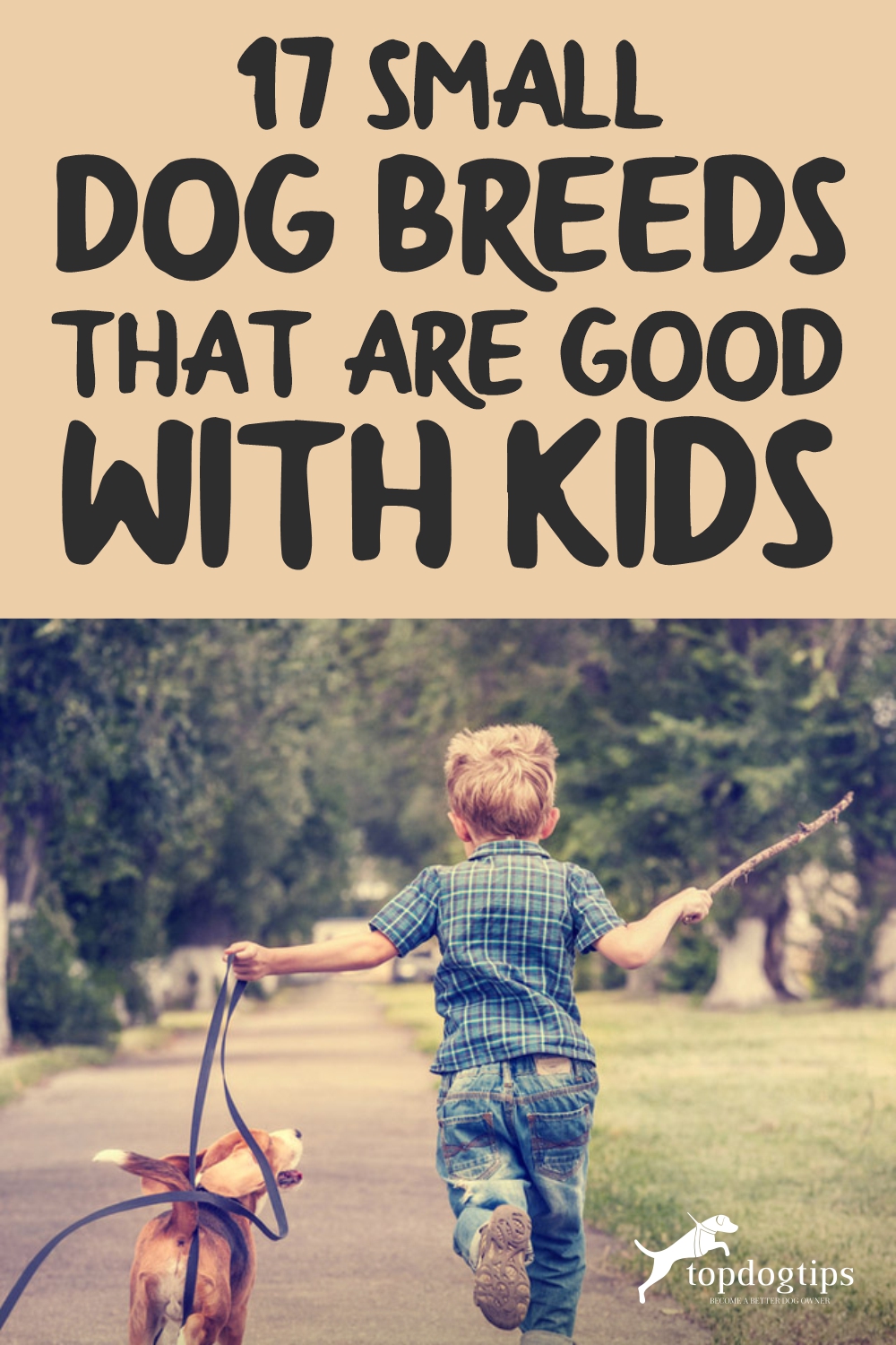 17 Small Dog Breeds That Are Good With Kids