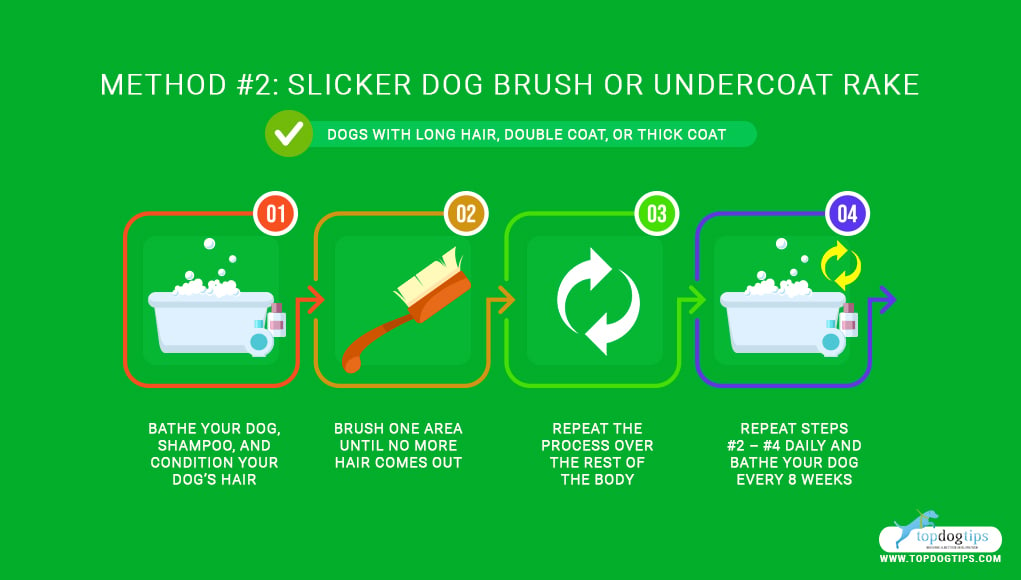 7 Ways of Deshedding a Dog