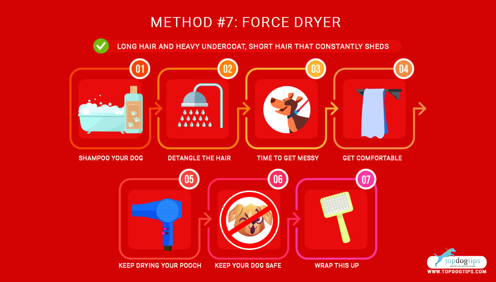 7 Ways of Deshedding a Dog