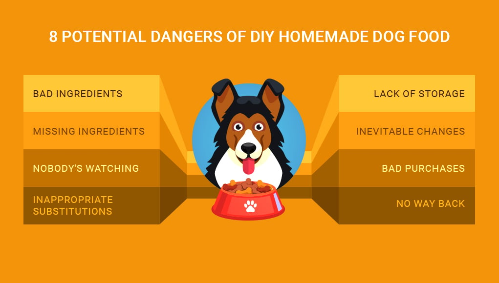 Dangers of DIY Homemade Dog Food 