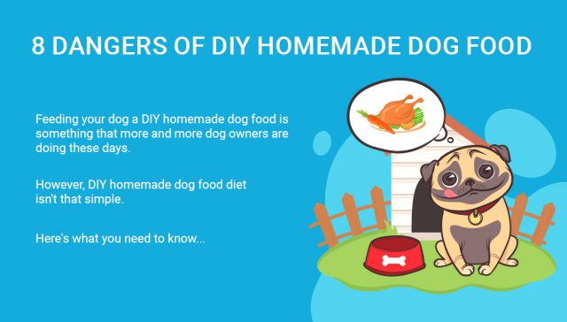 Dangers of DIY Homemade Dog Food