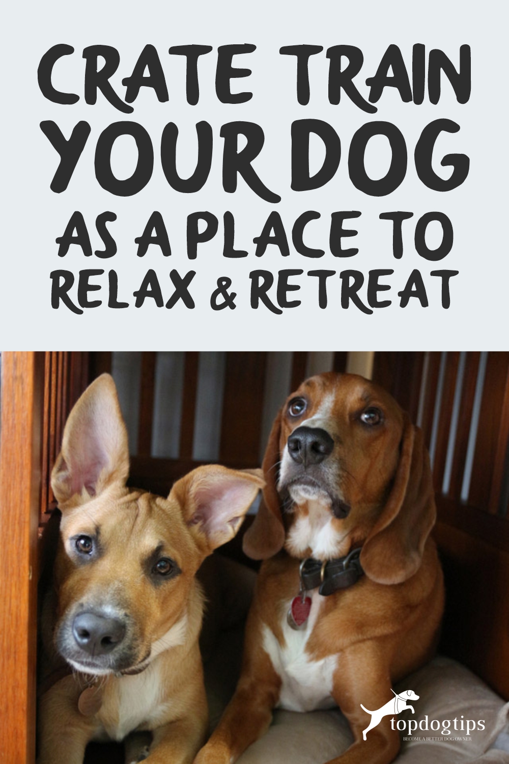 Crate Train Your Dog as a Place to Relax - Retreat