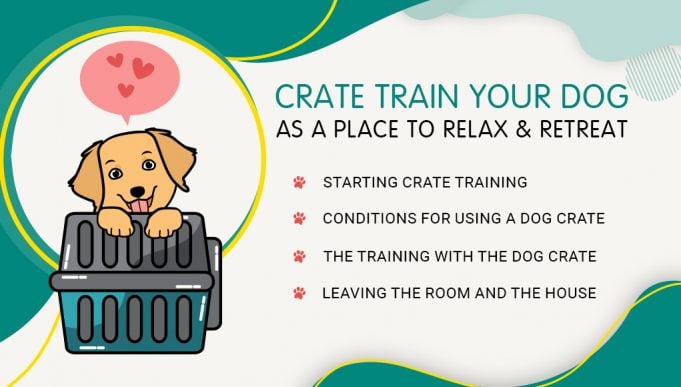 Crate Train Your Dog as a Place to Relax & Retreat