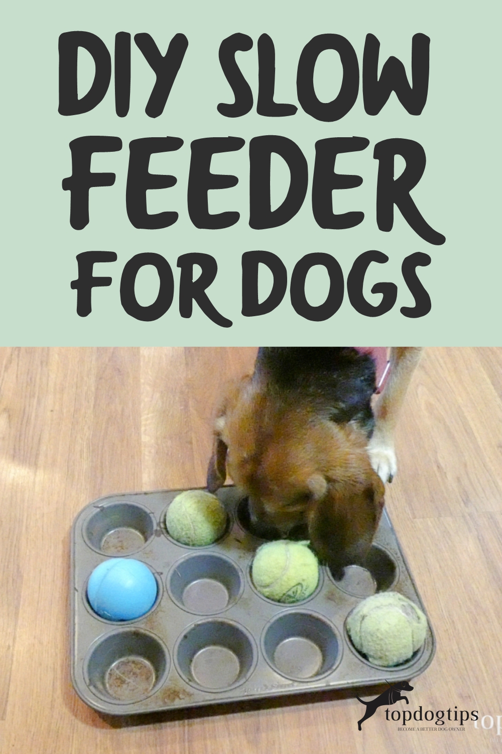 DIY Slow Feeder for Dogs