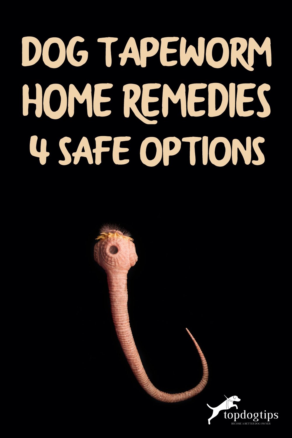 Dog Tapeworm Home Remedies- 4 Safe Options