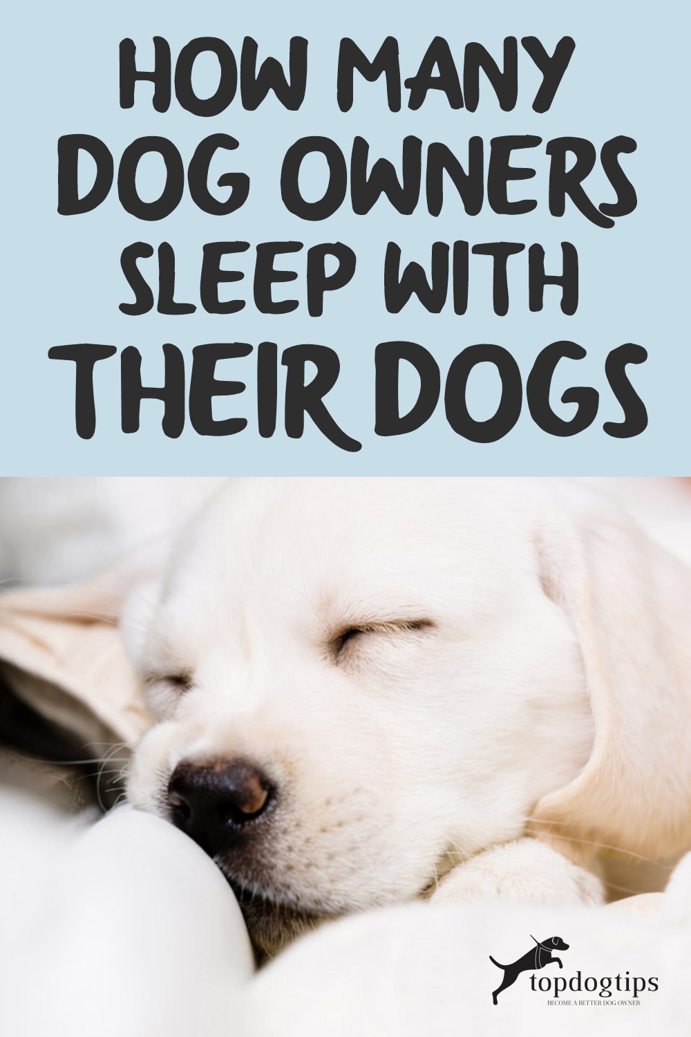 HOW MANY DOG OWNERS SLEEP WITH THEIR DOGS