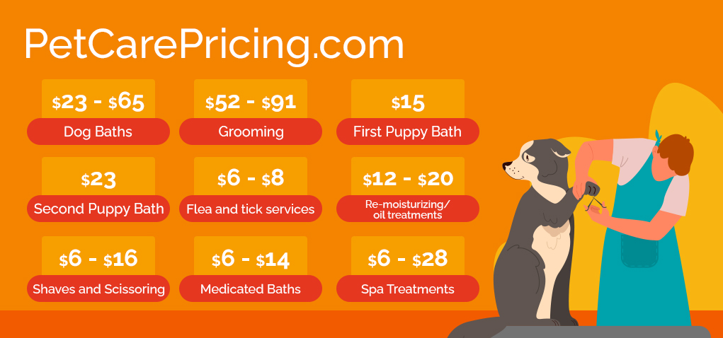 Cost to Groom a Dog 