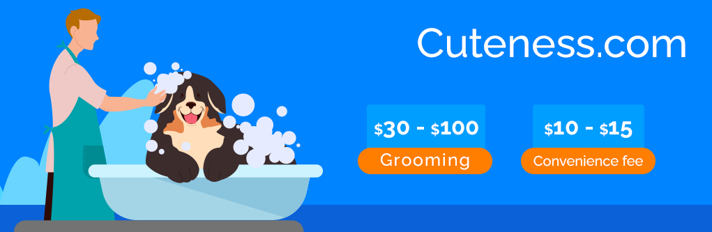 Cost to Groom a Dog 