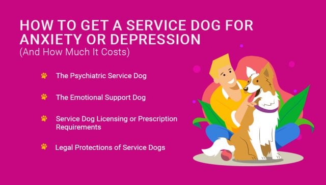 How to Get a Service Dog for Anxiety or Depression (And How Much It Costs)