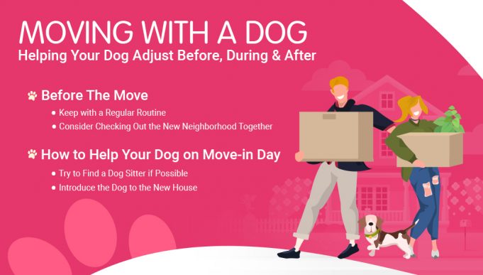 Moving With a Dog