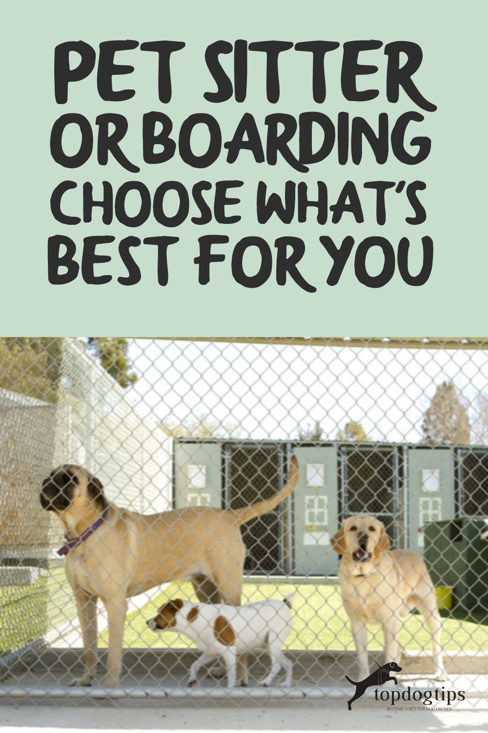 Pet Sitter or Boarding 