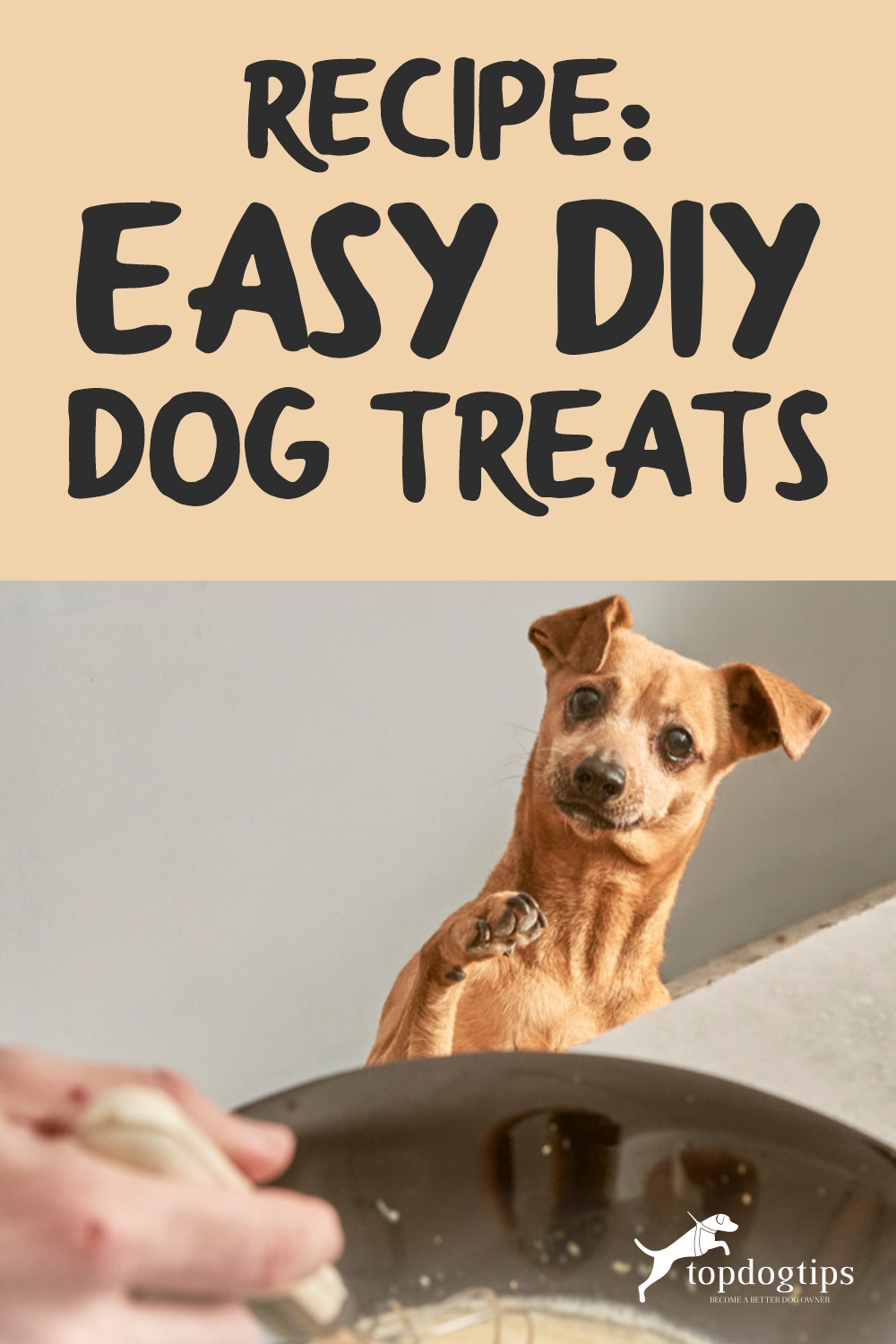 Recipe- Easy DIY Dog Treats