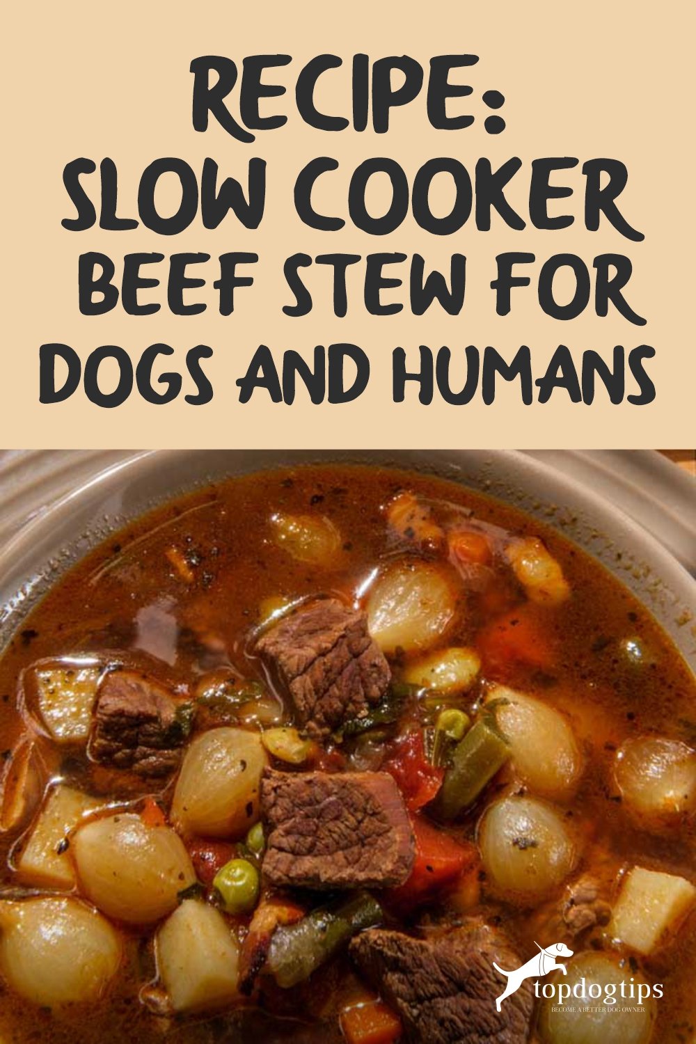 Recipe- Slow Cooker Beef Stew for Dogs and Humans