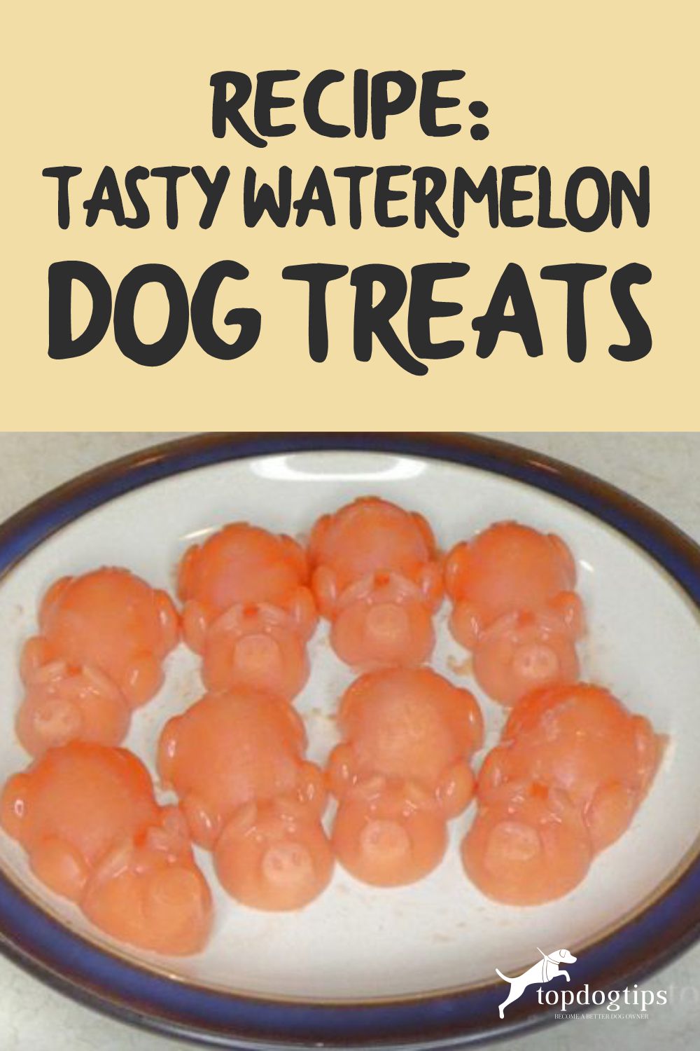 Watermelon Dog Treats