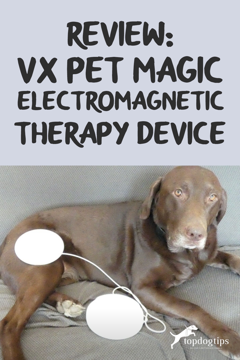 Review- VX Pet Magic Electromagnetic Therapy Device