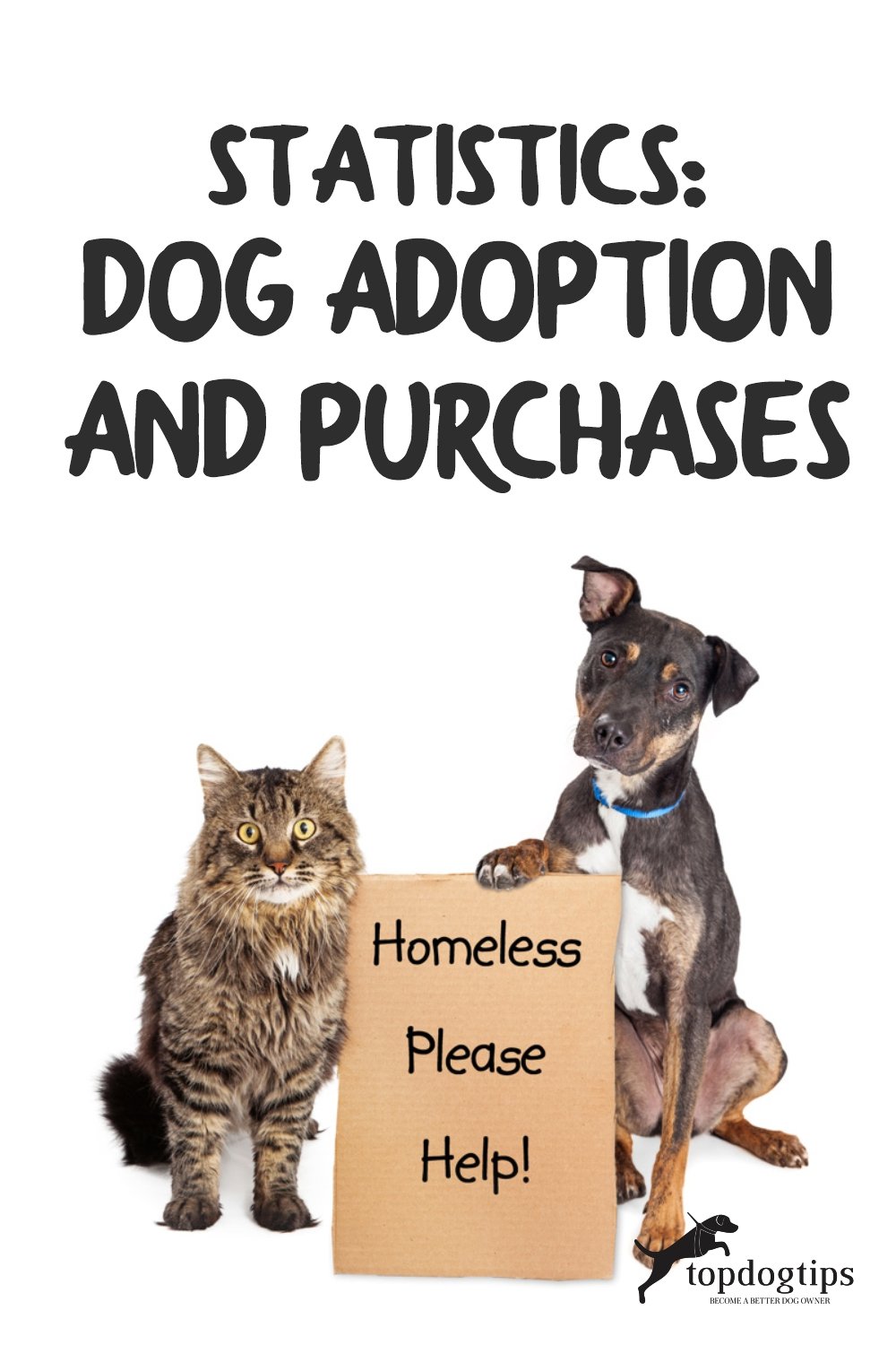 Statistics- Dog Adoption and Purchases