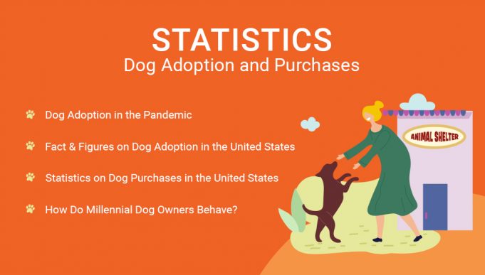 Statistics- Dog Adoption and Purchases