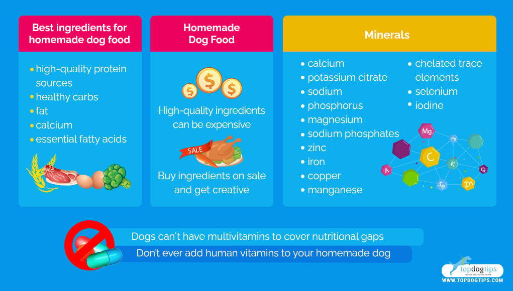 Dog Supplements