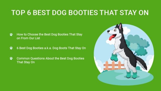 Dog Booties That Stay On